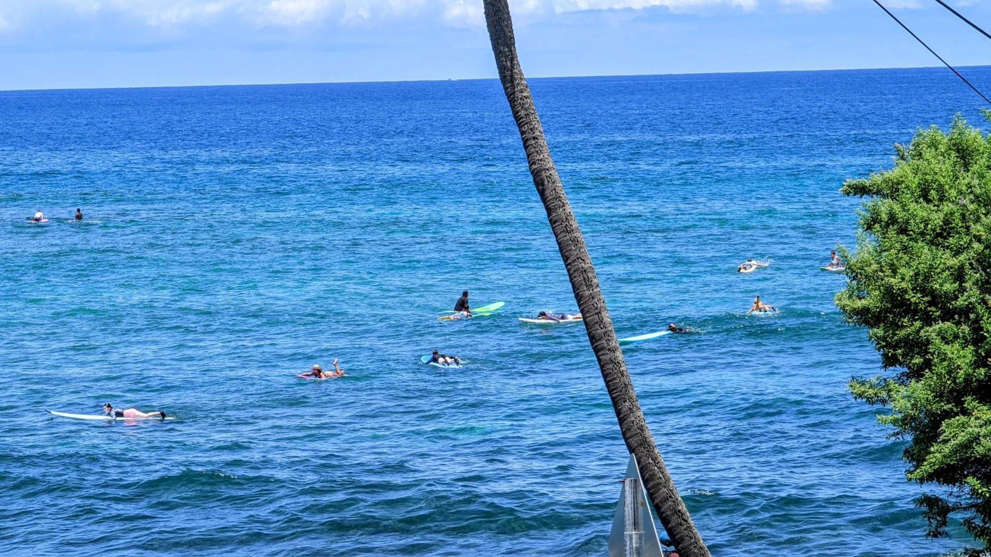 Seaspray Oceanview Lejlighed Kailua-Kona Eksteriør billede